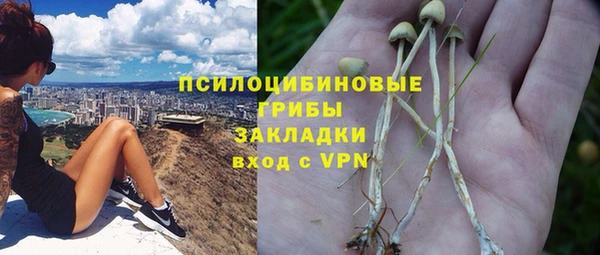 крисы Карпинск