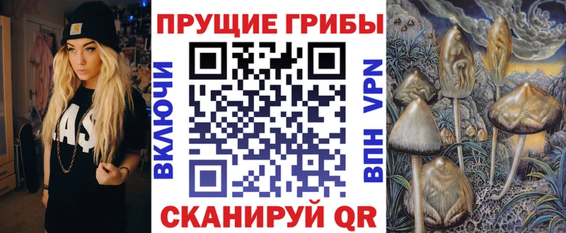 Купить где Минеральные Воды Галлюциногенные грибы мицелий